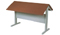 Library Reading Desk