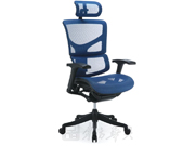 Mesh Executive Chaircg-sam01-AB_Office Furniture_Mesh Executive Chair_Office Chair