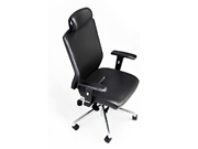 Fabric Executive ChairZebra_Office Furniture_Fabric Executive Chair_Office Chair