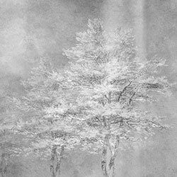 雾凇-原创定制壁画 张杉杉  BETWAY在线登录官网-BETWAY（中国） - 附件