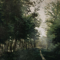 曲径-原创定制壁画 张杉杉  BETWAY在线登录官网-BETWAY（中国） - 附件