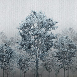 从林-原创定制壁画 张杉杉  BETWAY在线登录官网-BETWAY（中国） - 附件