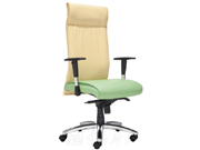 Fabric Executive ChairCG-C379_Office Furniture_Fabric Executive Chair_Office Chair