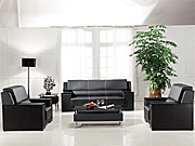 Traditional Leather SofaCG-CTZPSF-07_Office Furniture_Traditional Leather Sofa_Office Sofa