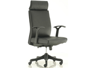 Executive ChairCG-D7230_Office Furniture_Fashion Executive Chair_Office Chair