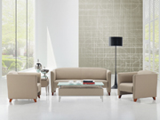 Modern Leather Sofa CG-DA8027Y