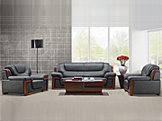 Modern Leather Sofa CG-SA8039S