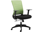 Staff Chair CG-GW789