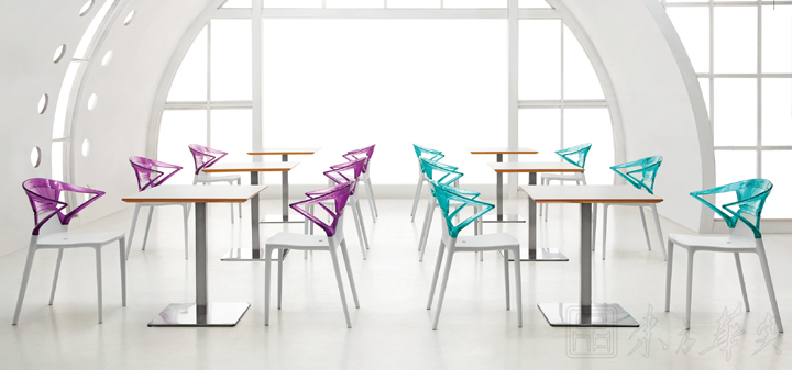 Dining Furniture|Dining Table|Office Furniture||���ϲ���